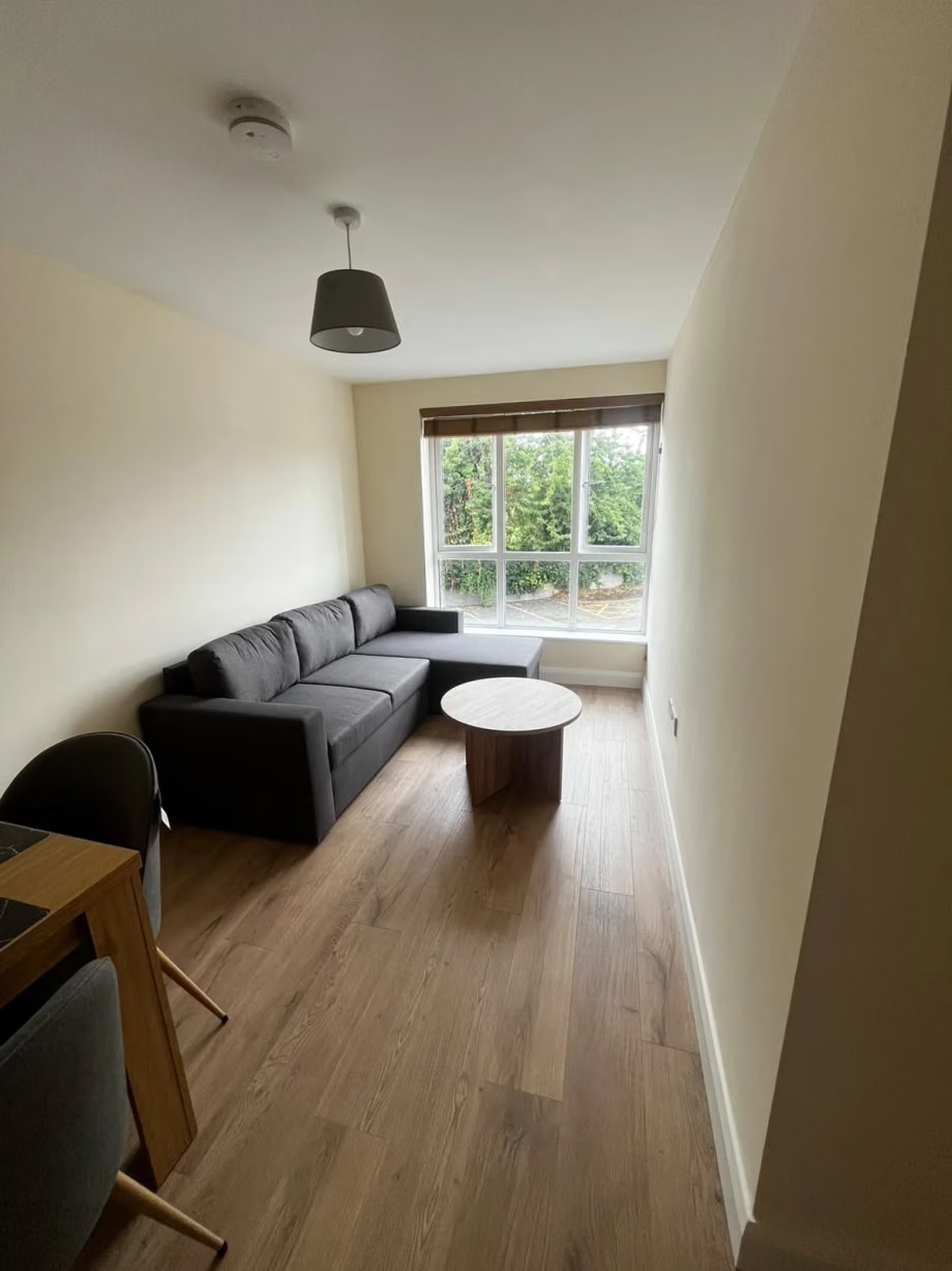 Living room with natural light